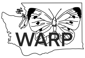 WARP project logo